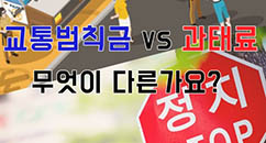 교통범칙금 vs 과태료, 무엇이 다른가요?